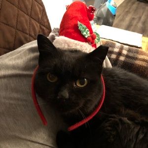 Merry Christmas!!!🎅🎄🎁